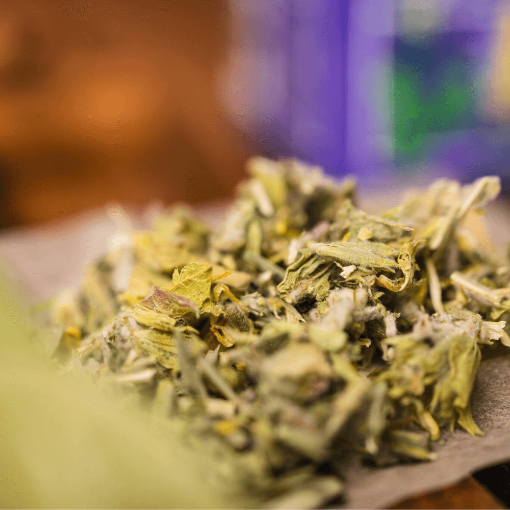 Greek Mountain Tea - Tropicaltea